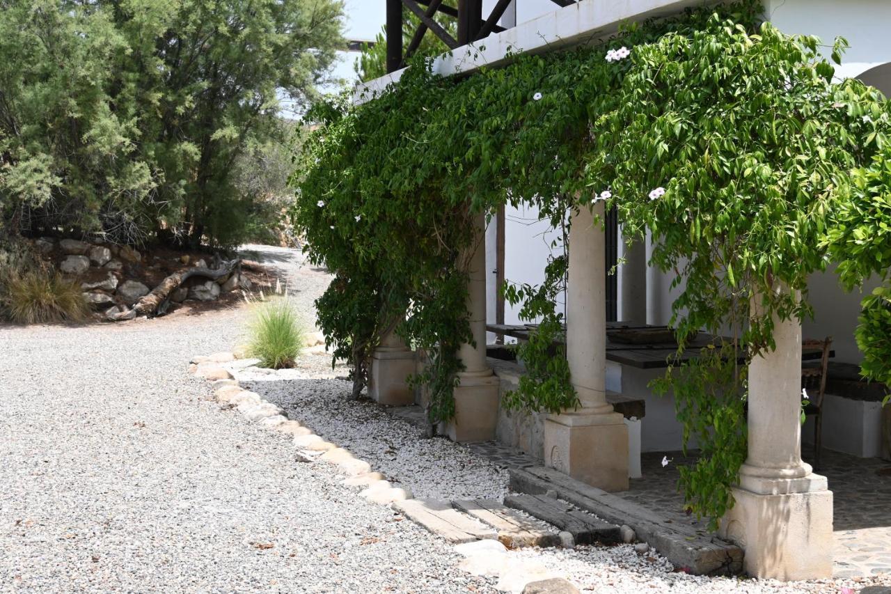 Finca Dariana Padel & Pool Alora Εξωτερικό φωτογραφία