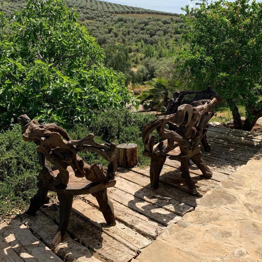 Finca Dariana Padel & Pool Alora Εξωτερικό φωτογραφία