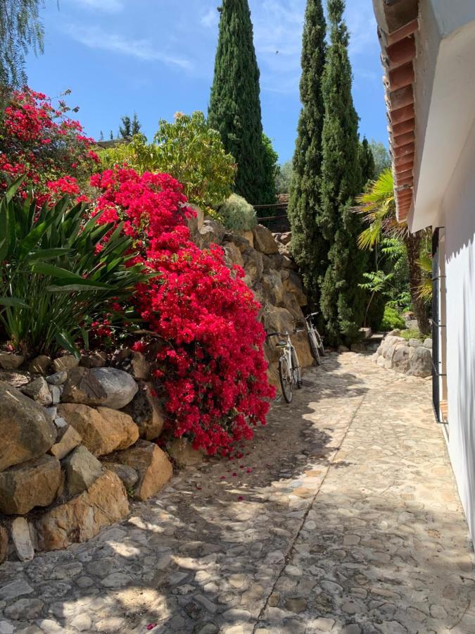 Finca Dariana Padel & Pool Alora Εξωτερικό φωτογραφία