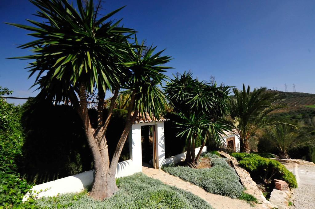 Finca Dariana Padel & Pool Alora Δωμάτιο φωτογραφία