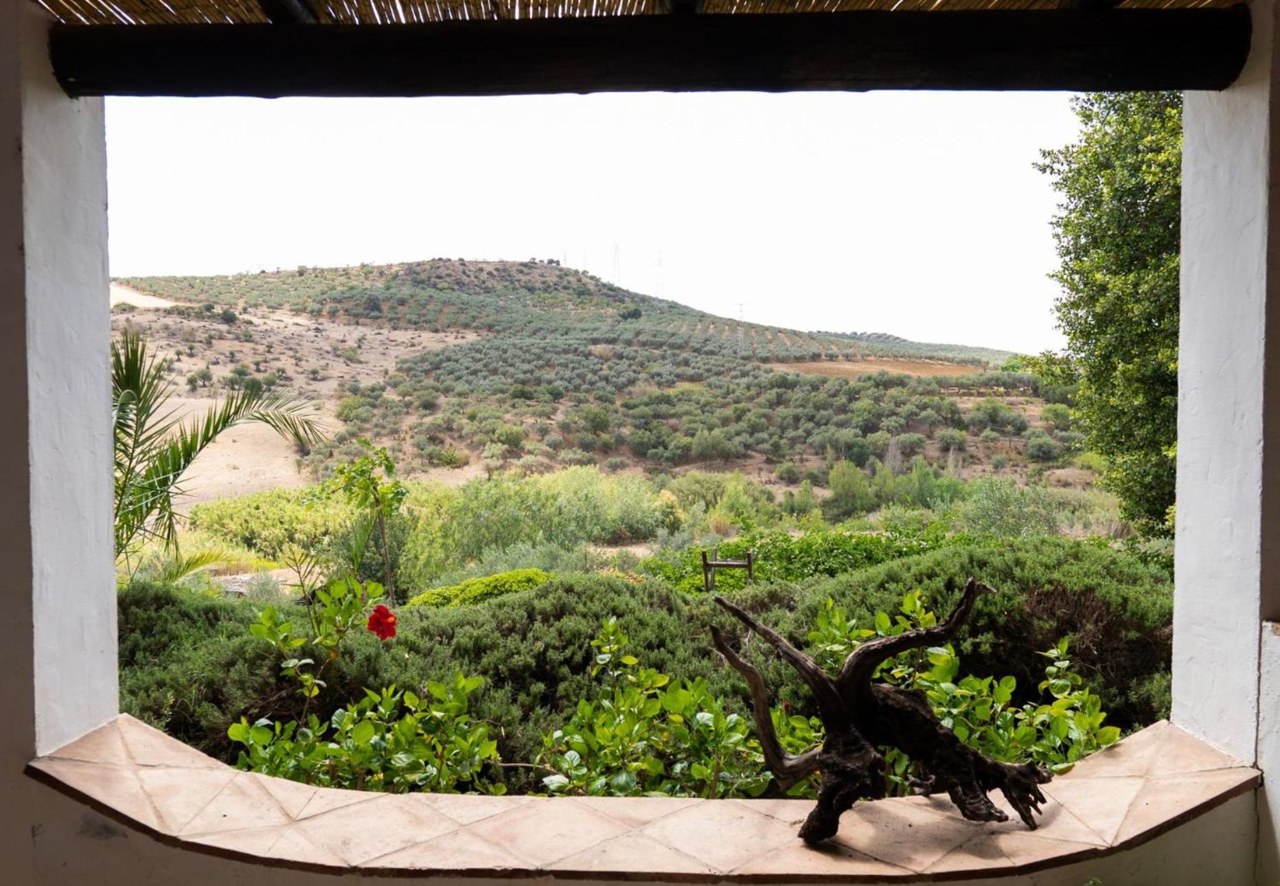 Finca Dariana Padel & Pool Alora Εξωτερικό φωτογραφία